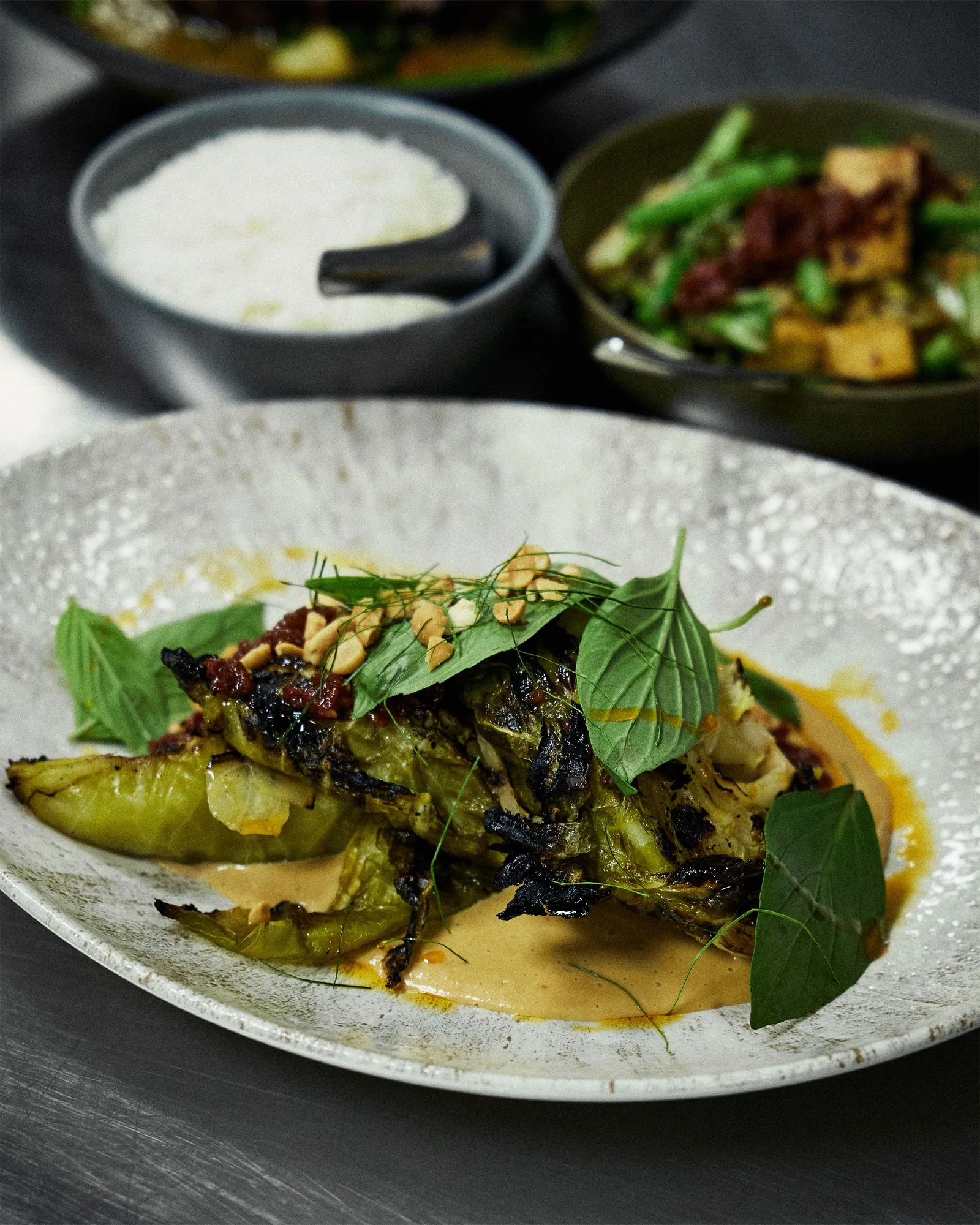 Charred hispi cabbage with herbs and toasted nuts, sitting in a rich sauce