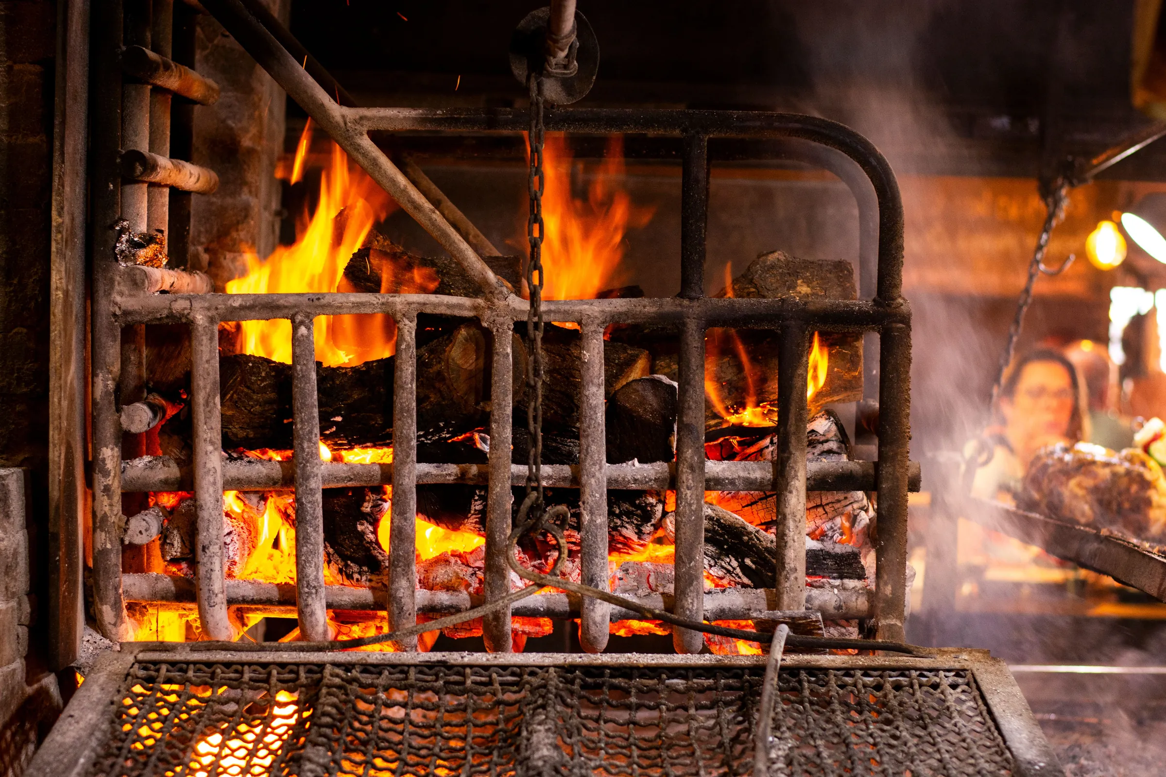 The hearth: oak logs burning behind an iron grate, embers glowing beneath it