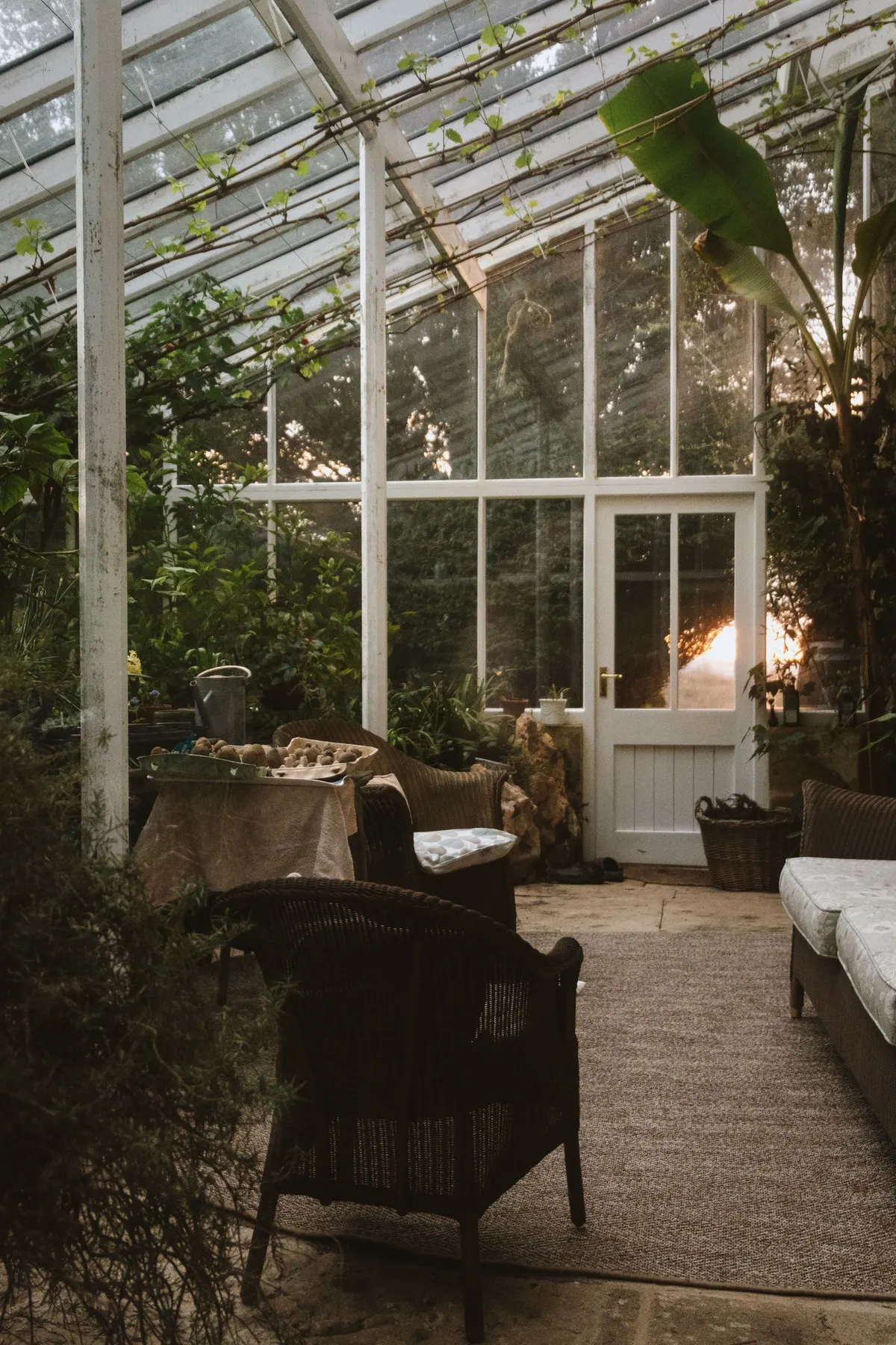 A Victorian conservatory with wicker chairs, a table and light coming through the glass roof.